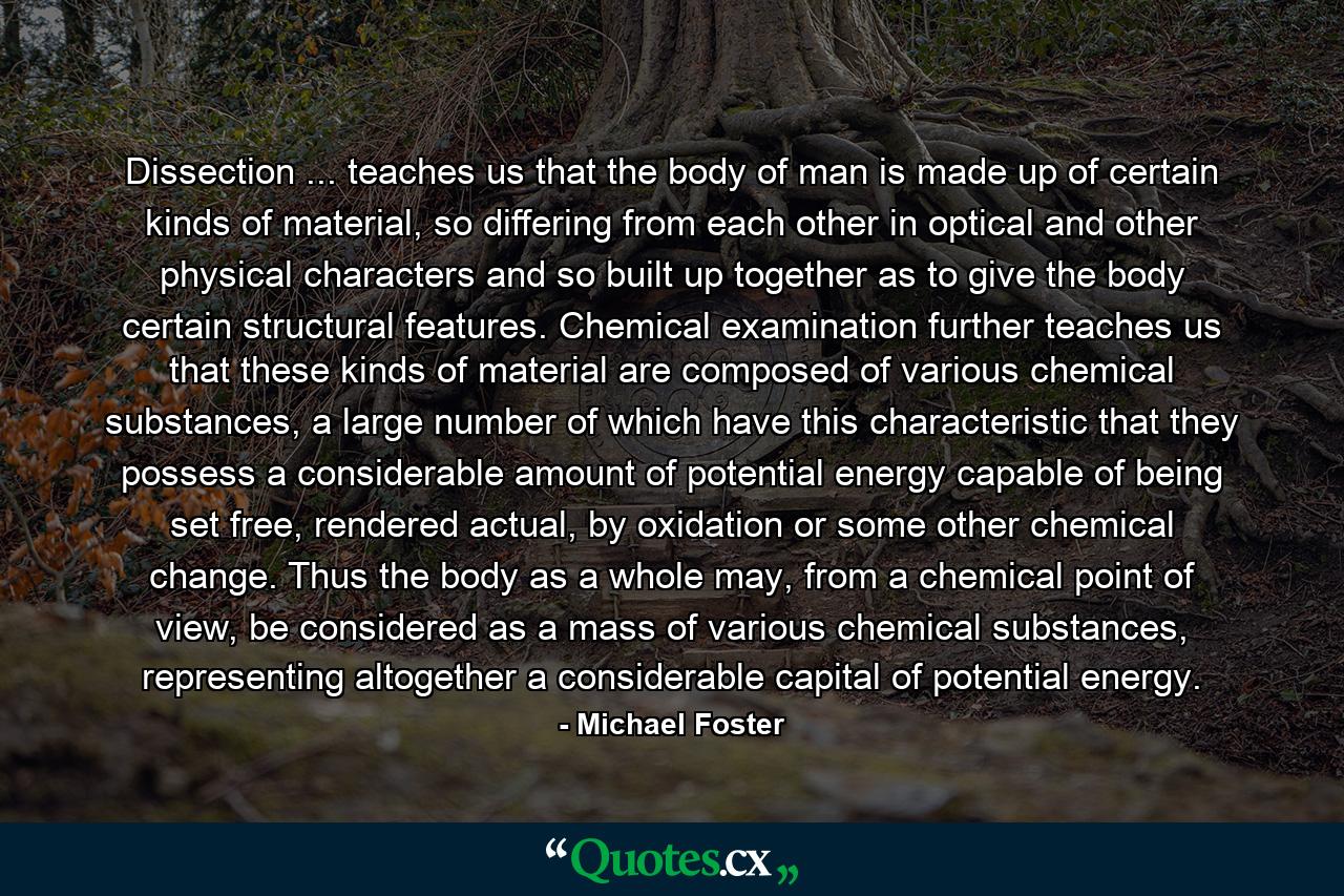 Dissection ... teaches us that the body of man is made up of certain kinds of material, so differing from each other in optical and other physical characters and so built up together as to give the body certain structural features. Chemical examination further teaches us that these kinds of material are composed of various chemical substances, a large number of which have this characteristic that they possess a considerable amount of potential energy capable of being set free, rendered actual, by oxidation or some other chemical change. Thus the body as a whole may, from a chemical point of view, be considered as a mass of various chemical substances, representing altogether a considerable capital of potential energy. - Quote by Michael Foster