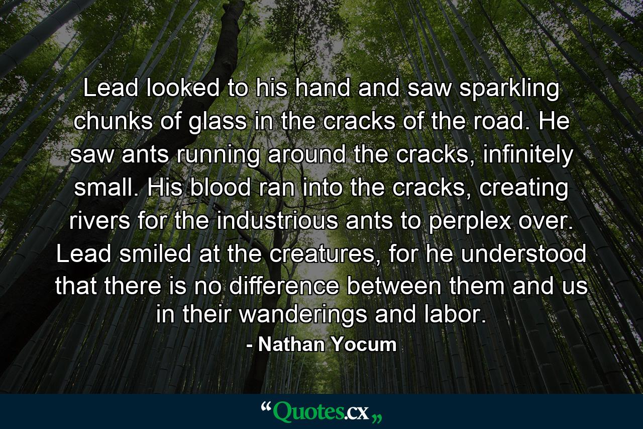 Lead looked to his hand and saw sparkling chunks of glass in the cracks of the road. He saw ants running around the cracks, infinitely small. His blood ran into the cracks, creating rivers for the industrious ants to perplex over. Lead smiled at the creatures, for he understood that there is no difference between them and us in their wanderings and labor. - Quote by Nathan Yocum