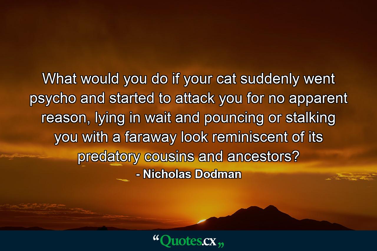 What would you do if your cat suddenly went psycho and started to attack you for no apparent reason, lying in wait and pouncing or stalking you with a faraway look reminiscent of its predatory cousins and ancestors? - Quote by Nicholas Dodman