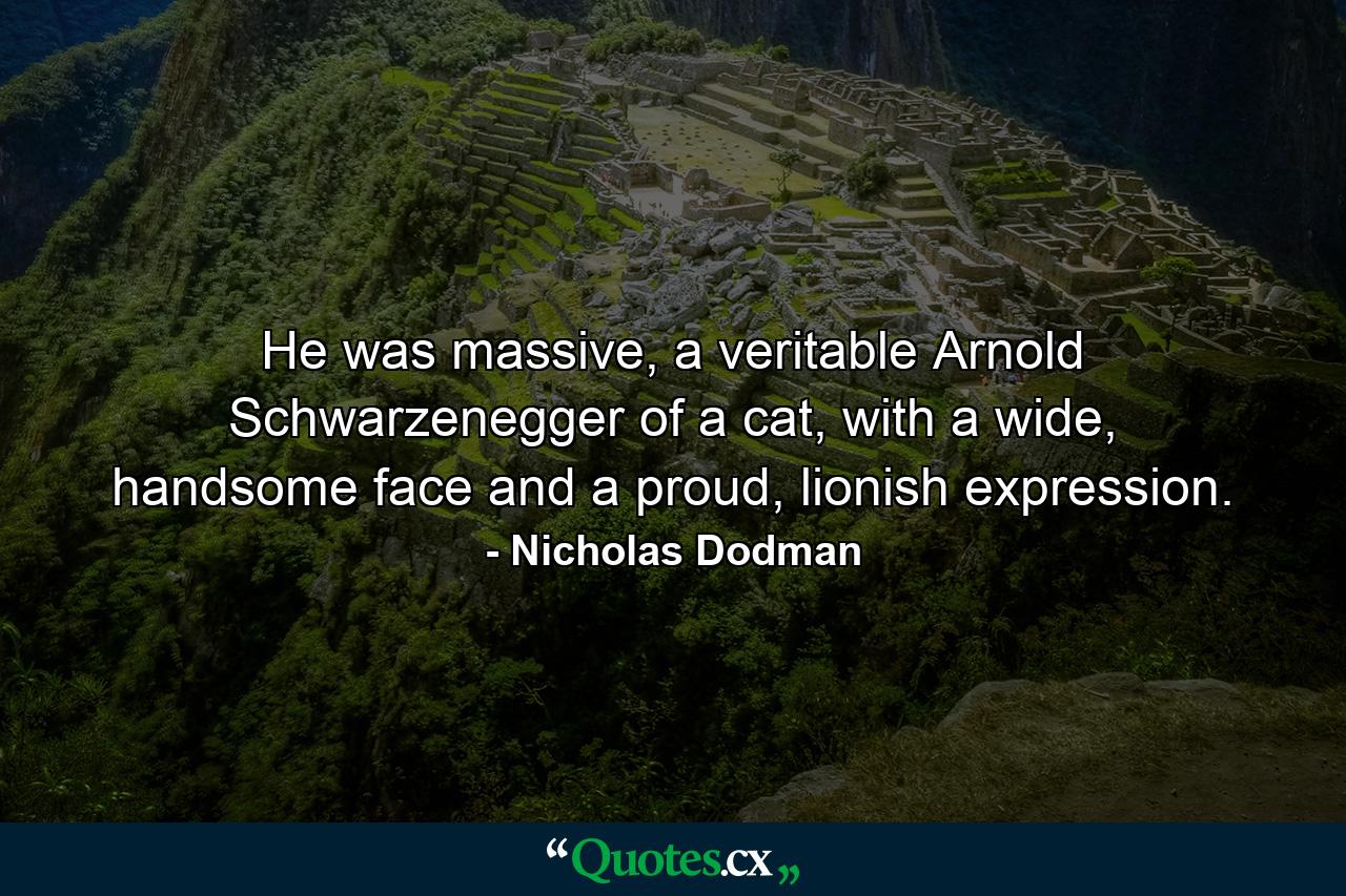 He was massive, a veritable Arnold Schwarzenegger of a cat, with a wide, handsome face and a proud, lionish expression. - Quote by Nicholas Dodman