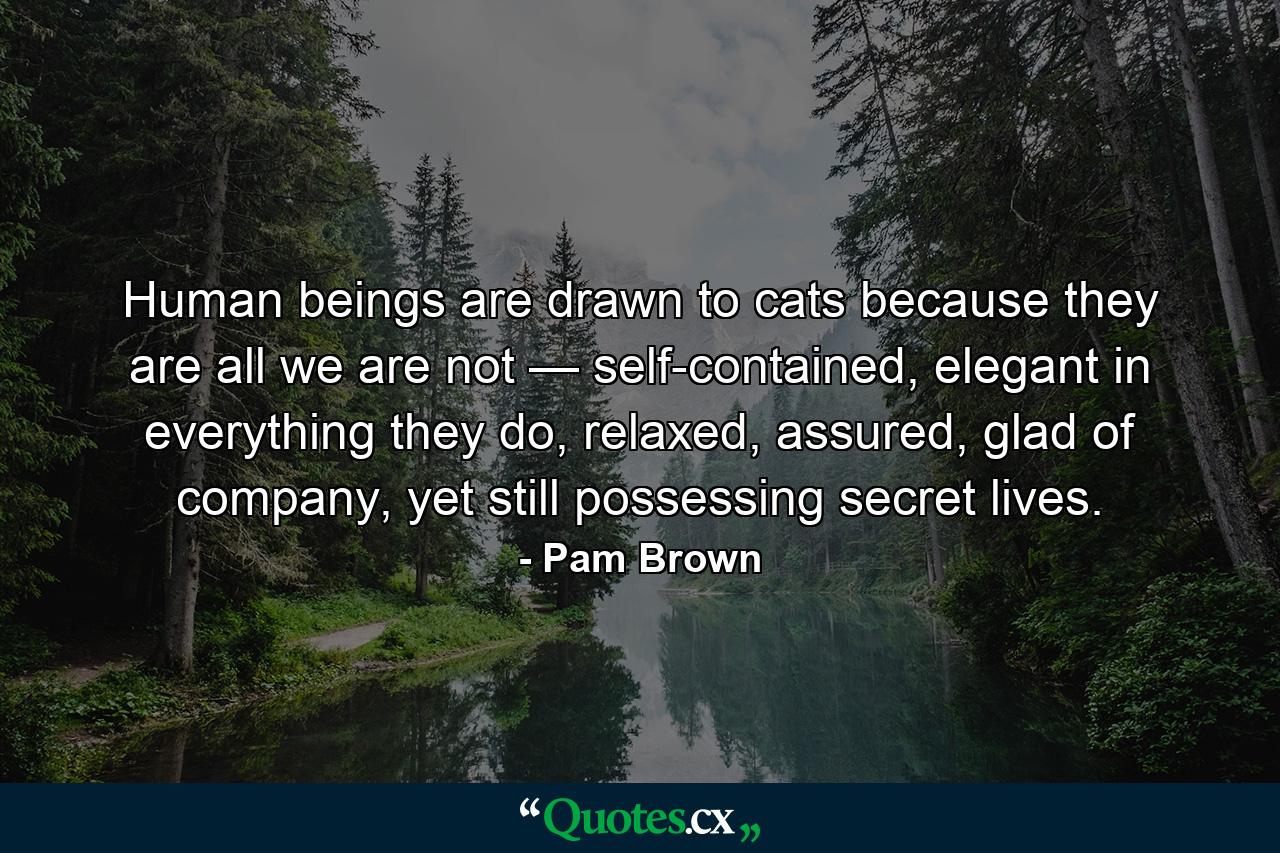 Human beings are drawn to cats because they are all we are not — self-contained, elegant in everything they do, relaxed, assured, glad of company, yet still possessing secret lives. - Quote by Pam Brown