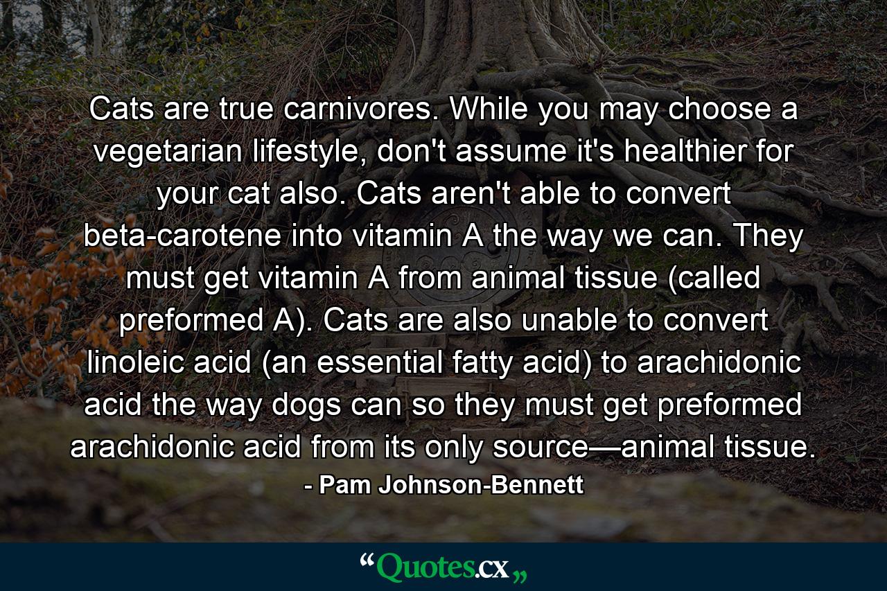 Cats are true carnivores. While you may choose a vegetarian lifestyle, don't assume it's healthier for your cat also. Cats aren't able to convert beta-carotene into vitamin A the way we can. They must get vitamin A from animal tissue (called preformed A). Cats are also unable to convert linoleic acid (an essential fatty acid) to arachidonic acid the way dogs can so they must get preformed arachidonic acid from its only source—animal tissue. - Quote by Pam Johnson-Bennett