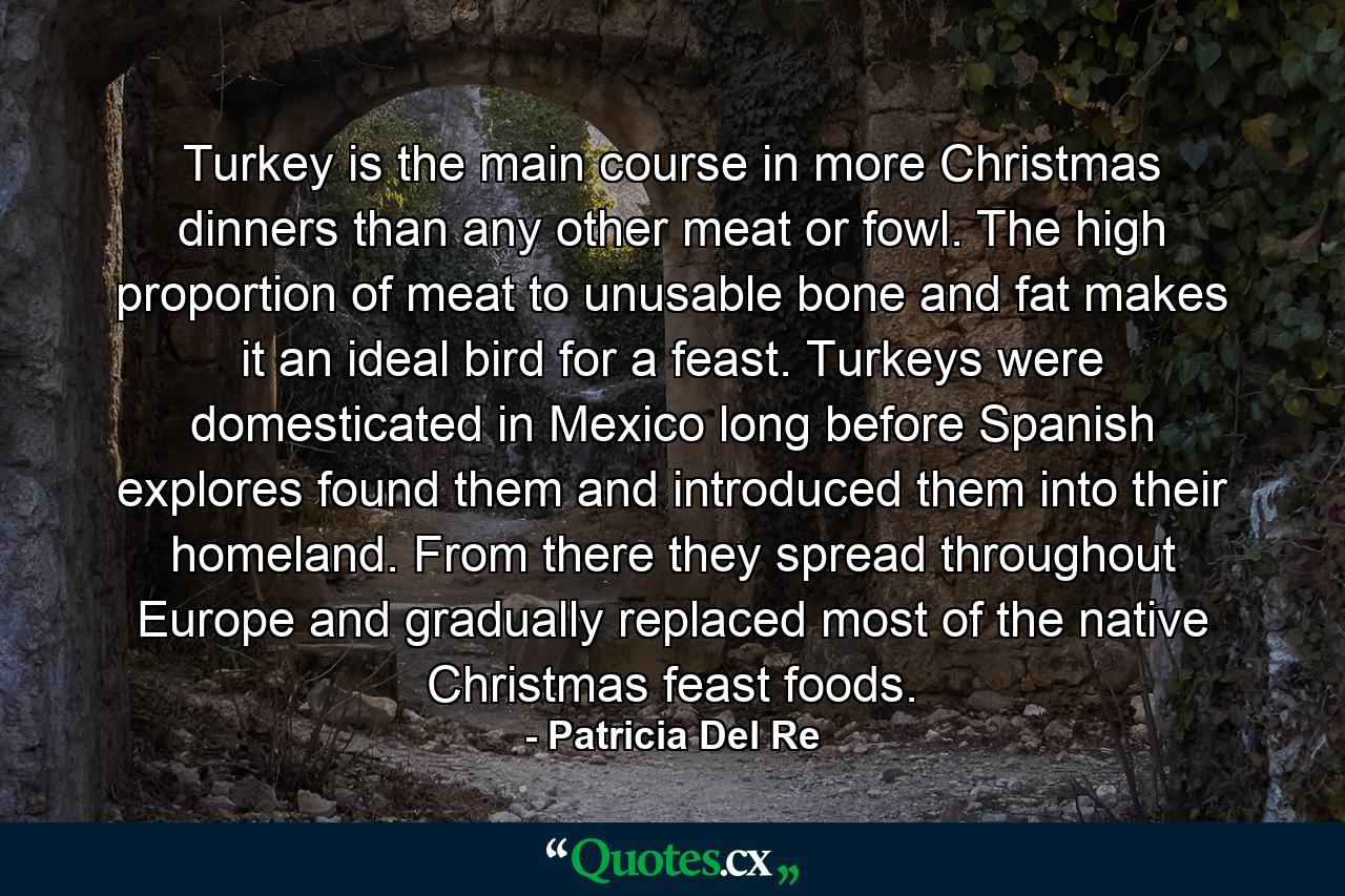 Turkey is the main course in more Christmas dinners than any other meat or fowl. The high proportion of meat to unusable bone and fat makes it an ideal bird for a feast. Turkeys were domesticated in Mexico long before Spanish explores found them and introduced them into their homeland. From there they spread throughout Europe and gradually replaced most of the native Christmas feast foods. - Quote by Patricia Del Re