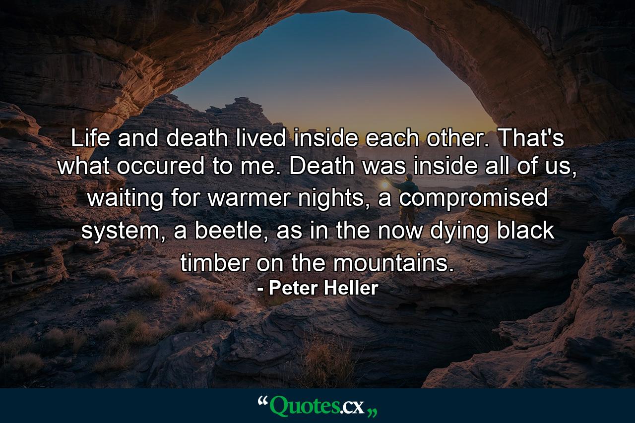 Life and death lived inside each other. That's what occured to me. Death was inside all of us, waiting for warmer nights, a compromised system, a beetle, as in the now dying black timber on the mountains. - Quote by Peter Heller