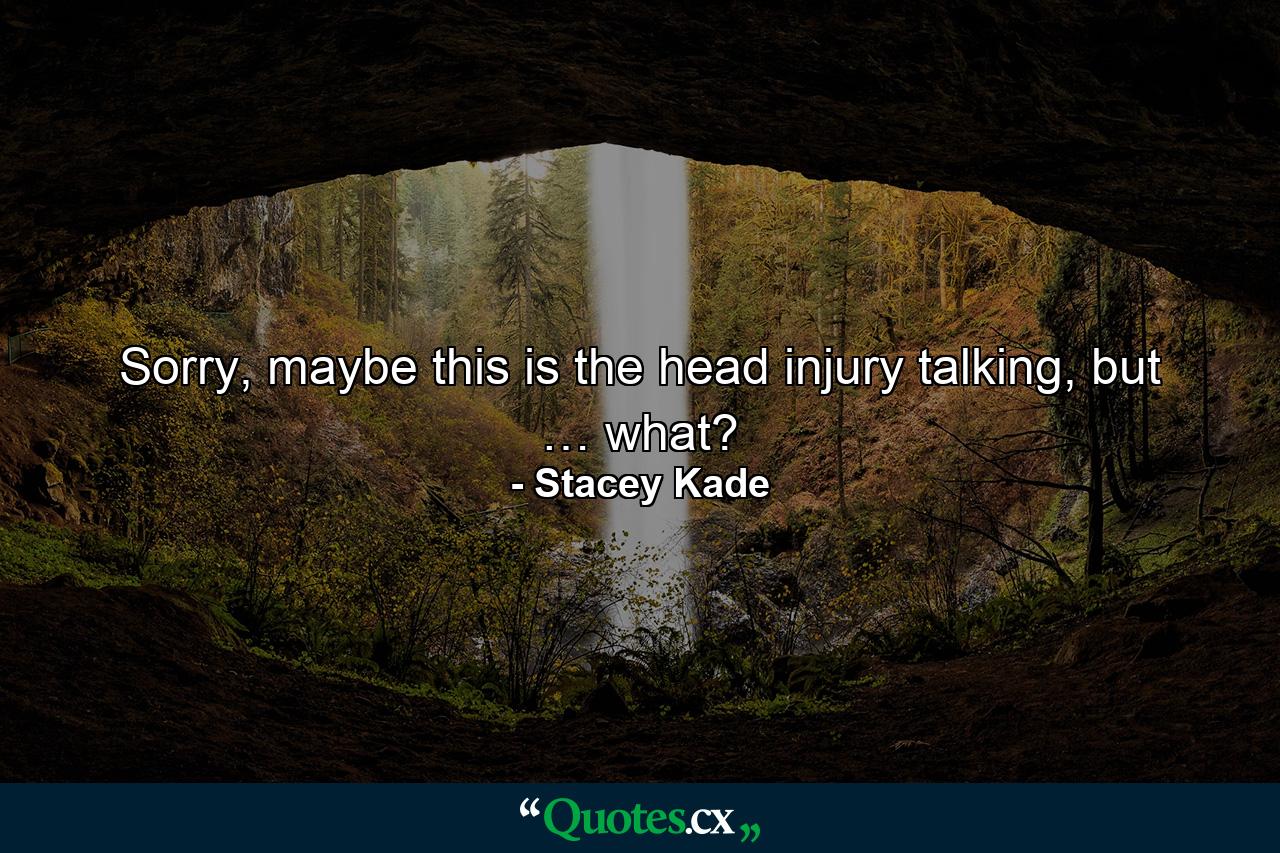 Sorry, maybe this is the head injury talking, but … what? - Quote by Stacey Kade