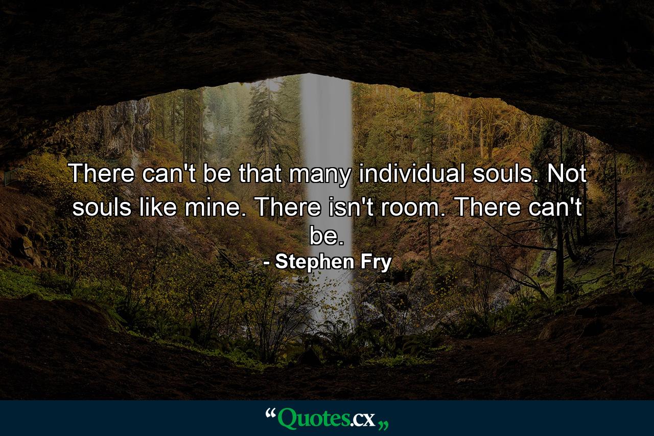 There can't be that many individual souls. Not souls like mine. There isn't room. There can't be. - Quote by Stephen Fry