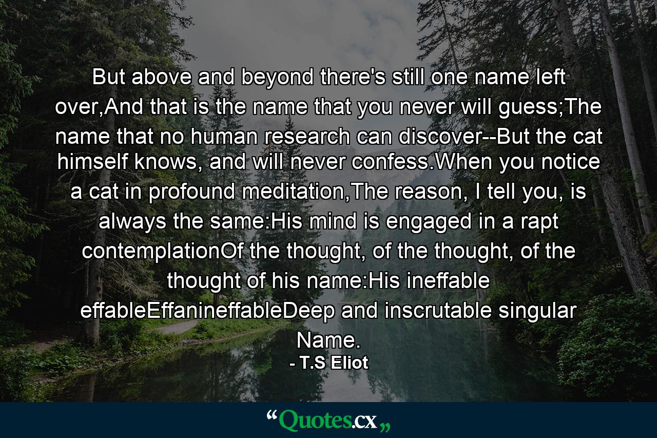 But above and beyond there's still one name left over,And that is the name that you never will guess;The name that no human research can discover--But the cat himself knows, and will never confess.When you notice a cat in profound meditation,The reason, I tell you, is always the same:His mind is engaged in a rapt contemplationOf the thought, of the thought, of the thought of his name:His ineffable effableEffanineffableDeep and inscrutable singular Name. - Quote by T.S Eliot