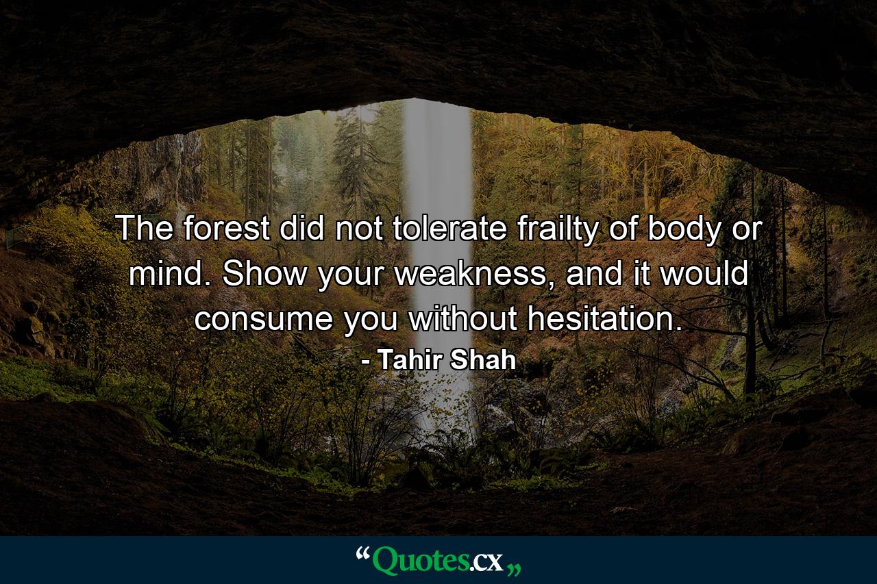 The forest did not tolerate frailty of body or mind. Show your weakness, and it would consume you without hesitation. - Quote by Tahir Shah