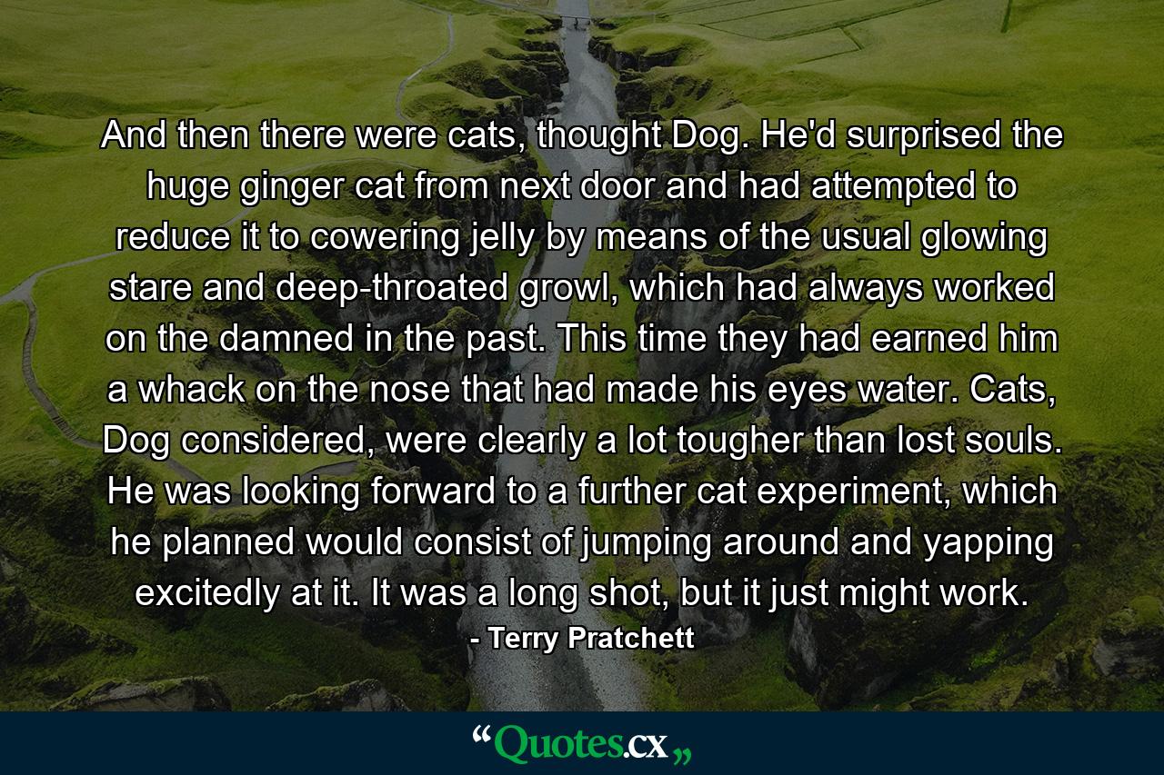 And then there were cats, thought Dog. He'd surprised the huge ginger cat from next door and had attempted to reduce it to cowering jelly by means of the usual glowing stare and deep-throated growl, which had always worked on the damned in the past. This time they had earned him a whack on the nose that had made his eyes water. Cats, Dog considered, were clearly a lot tougher than lost souls. He was looking forward to a further cat experiment, which he planned would consist of jumping around and yapping excitedly at it. It was a long shot, but it just might work. - Quote by Terry Pratchett