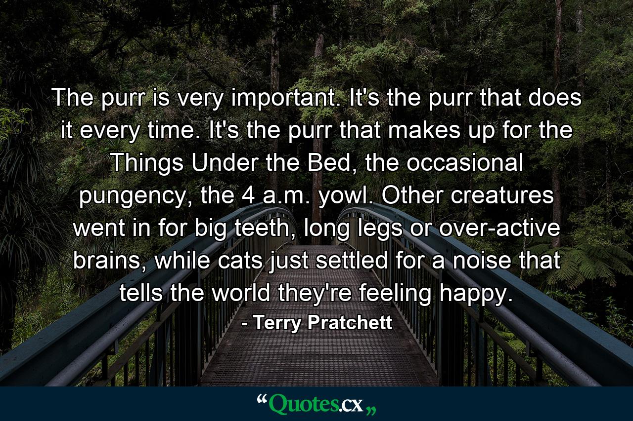 The purr is very important. It's the purr that does it every time. It's the purr that makes up for the Things Under the Bed, the occasional pungency, the 4 a.m. yowl. Other creatures went in for big teeth, long legs or over-active brains, while cats just settled for a noise that tells the world they're feeling happy. - Quote by Terry Pratchett