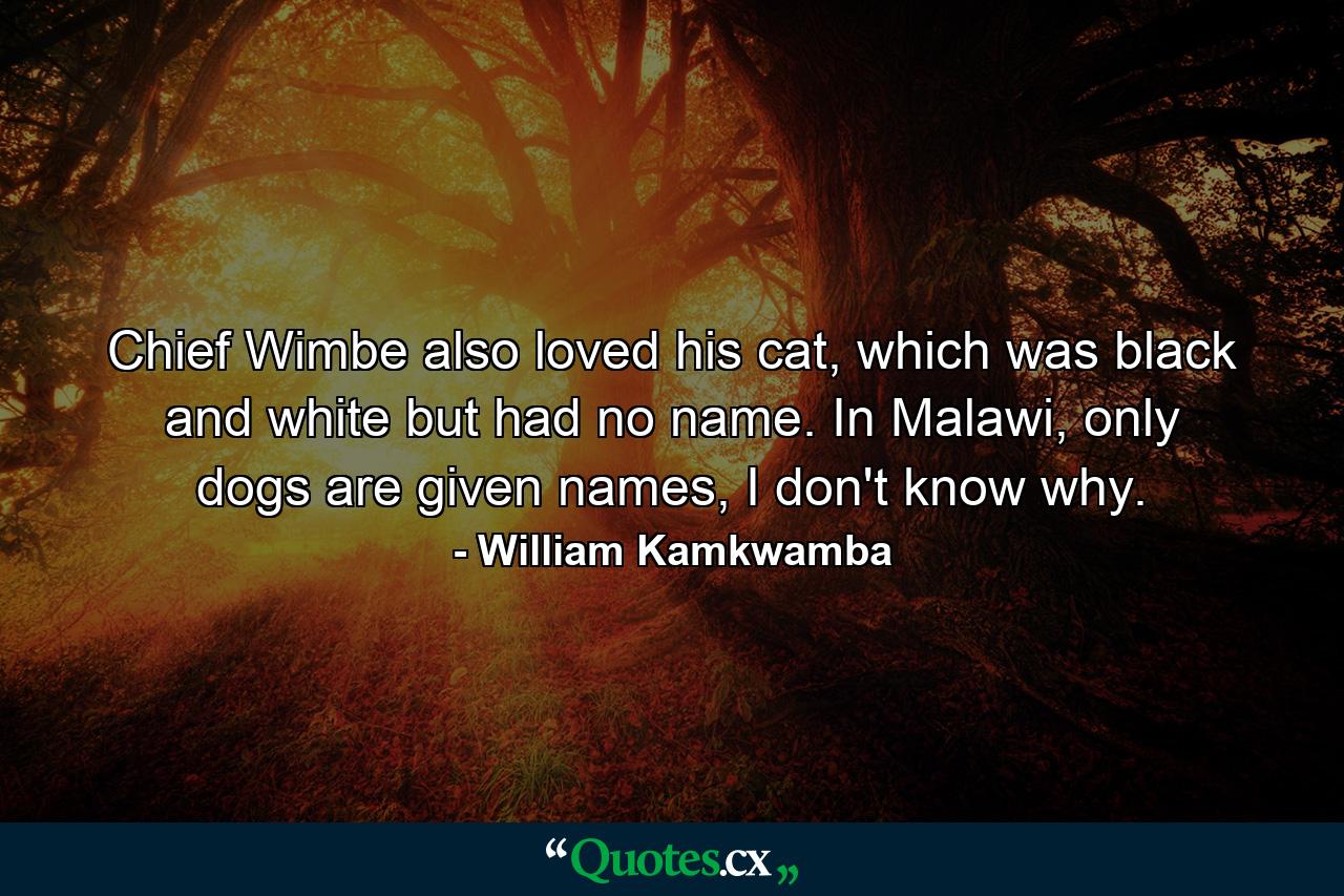 Chief Wimbe also loved his cat, which was black and white but had no name. In Malawi, only dogs are given names, I don't know why. - Quote by William Kamkwamba