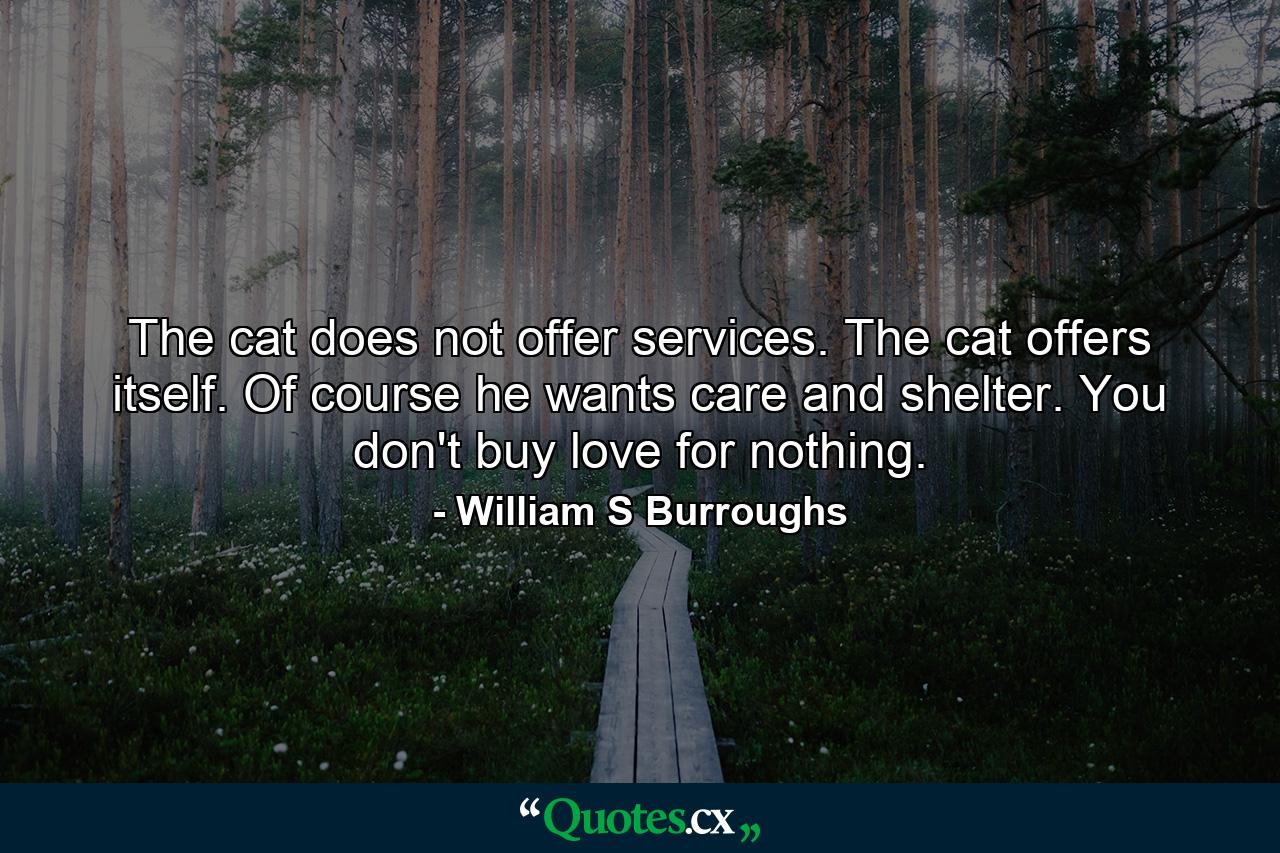 The cat does not offer services. The cat offers itself. Of course he wants care and shelter. You don't buy love for nothing. - Quote by William S Burroughs