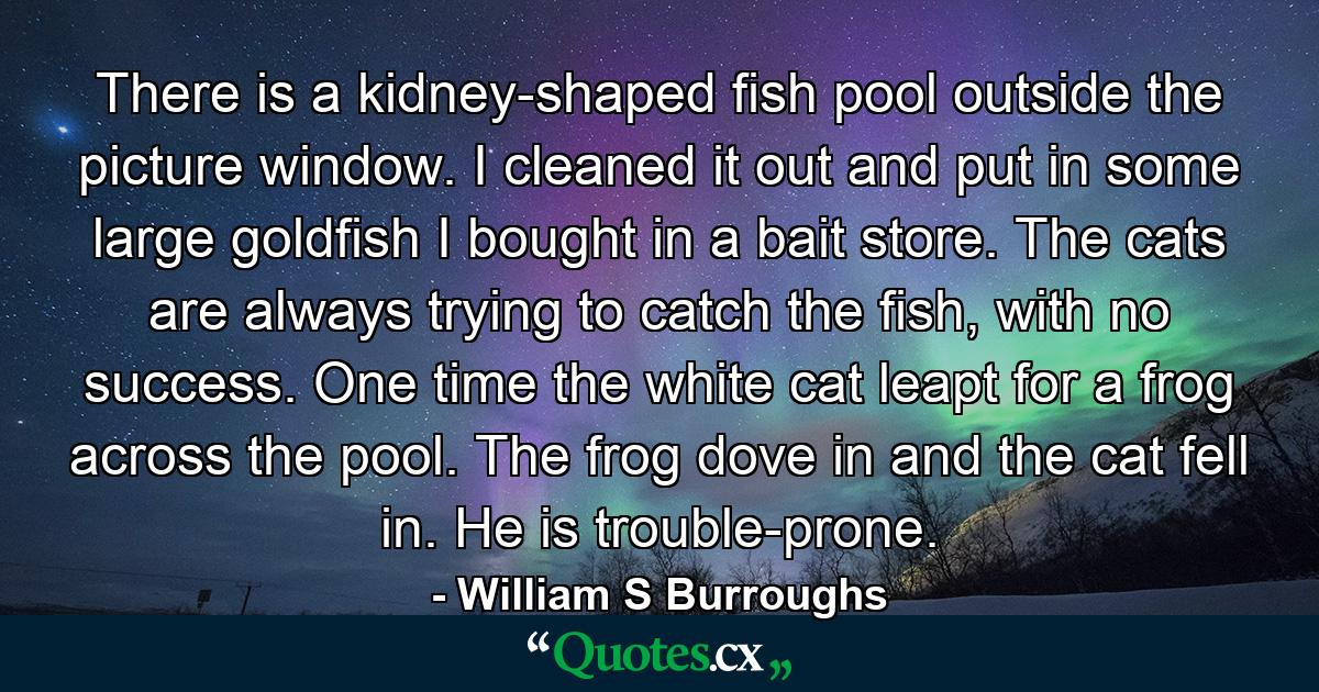 There is a kidney-shaped fish pool outside the picture window. I cleaned it out and put in some large goldfish I bought in a bait store. The cats are always trying to catch the fish, with no success. One time the white cat leapt for a frog across the pool. The frog dove in and the cat fell in. He is trouble-prone. - Quote by William S Burroughs