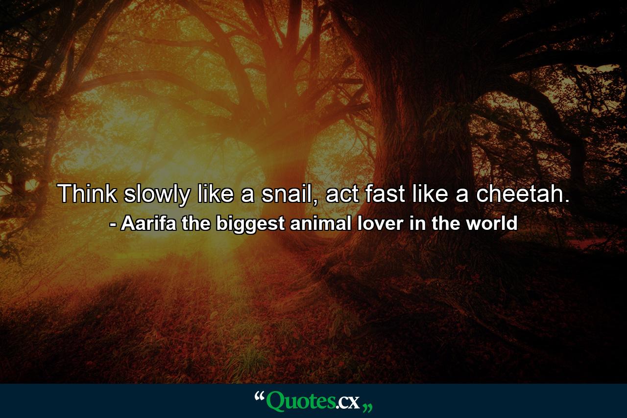 Think slowly like a snail, act fast like a cheetah. - Quote by Aarifa the biggest animal lover in the world