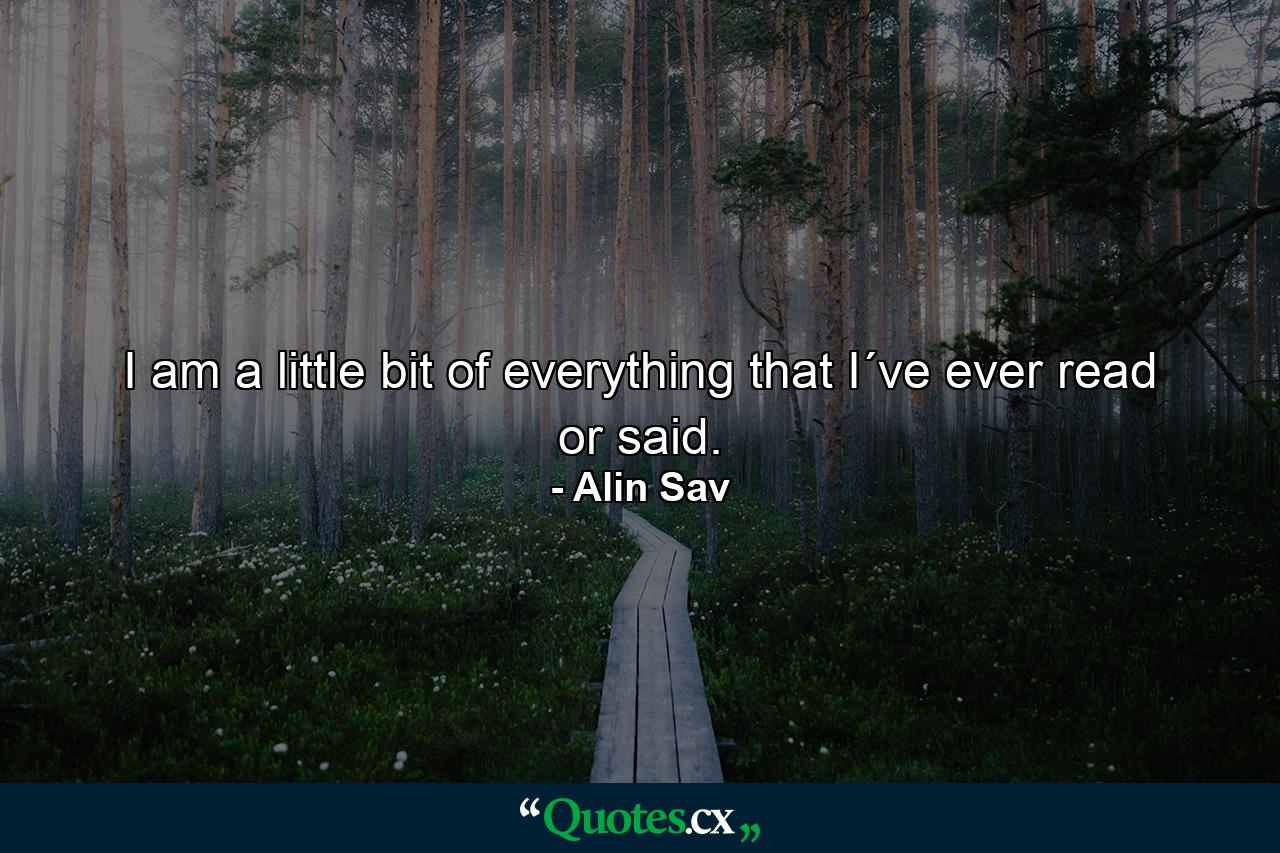 I am a little bit of everything that I´ve ever read or said. - Quote by Alin Sav