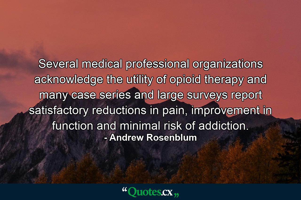 Several medical professional organizations acknowledge the utility of opioid therapy and many case series and large surveys report satisfactory reductions in pain, improvement in function and minimal risk of addiction. - Quote by Andrew Rosenblum