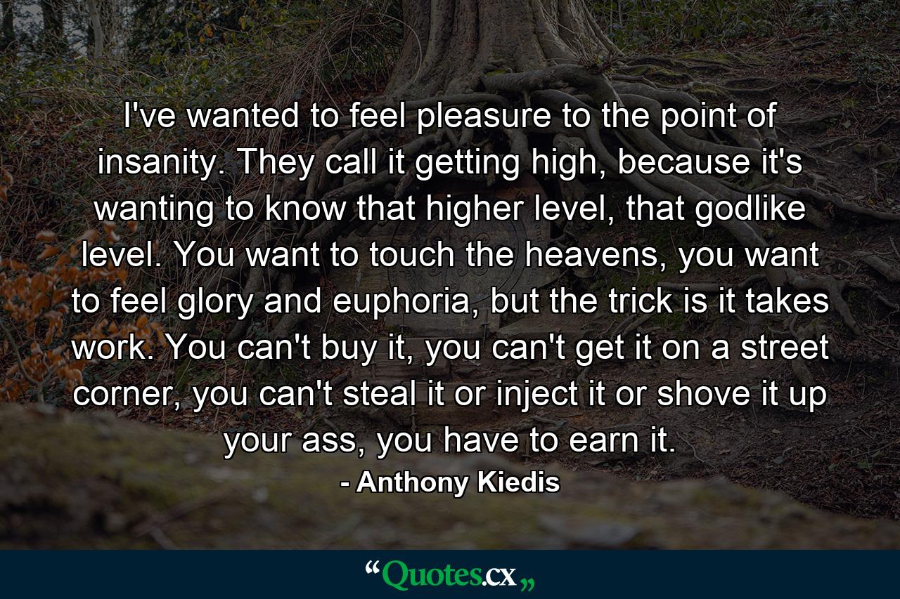 I've wanted to feel pleasure to the point of insanity. They call it getting high, because it's wanting to know that higher level, that godlike level. You want to touch the heavens, you want to feel glory and euphoria, but the trick is it takes work. You can't buy it, you can't get it on a street corner, you can't steal it or inject it or shove it up your ass, you have to earn it. - Quote by Anthony Kiedis