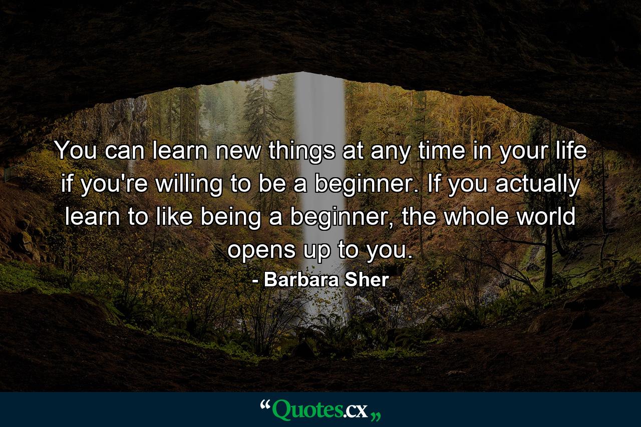 You can learn new things at any time in your life if you're willing to be a beginner. If you actually learn to like being a beginner, the whole world opens up to you. - Quote by Barbara Sher