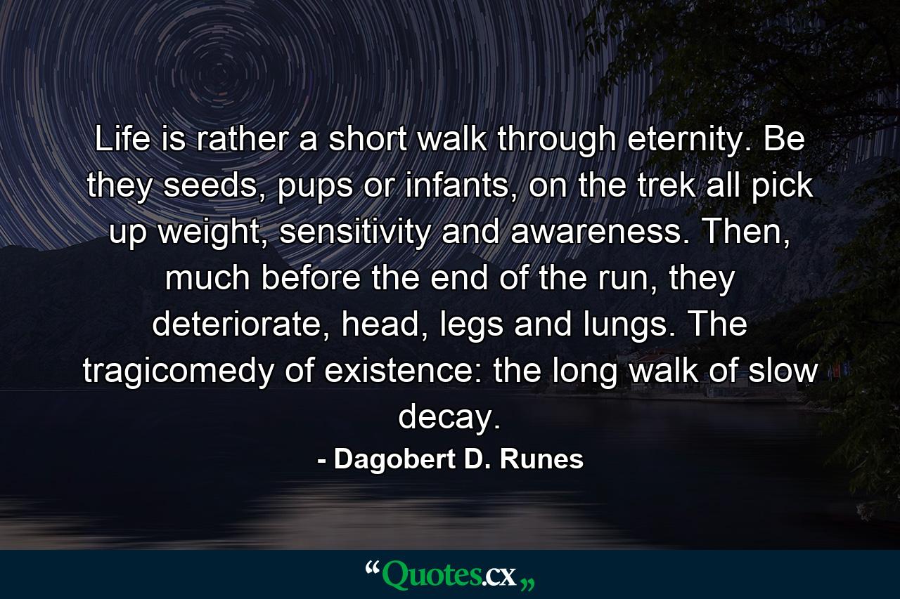 Life is rather a short walk through eternity. Be they seeds, pups or infants, on the trek all pick up weight, sensitivity and awareness. Then, much before the end of the run, they deteriorate, head, legs and lungs. The tragicomedy of existence: the long walk of slow decay. - Quote by Dagobert D. Runes