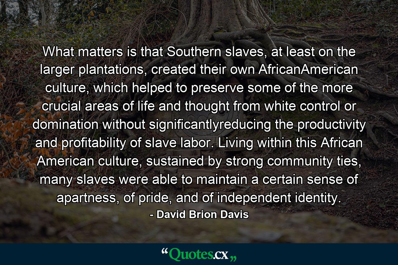 What matters is that Southern slaves, at least on the larger plantations, created their own AfricanAmerican culture, which helped to preserve some of the more crucial areas of life and thought from white control or domination without significantlyreducing the productivity and profitability of slave labor. Living within this African American culture, sustained by strong community ties, many slaves were able to maintain a certain sense of apartness, of pride, and of independent identity. - Quote by David Brion Davis