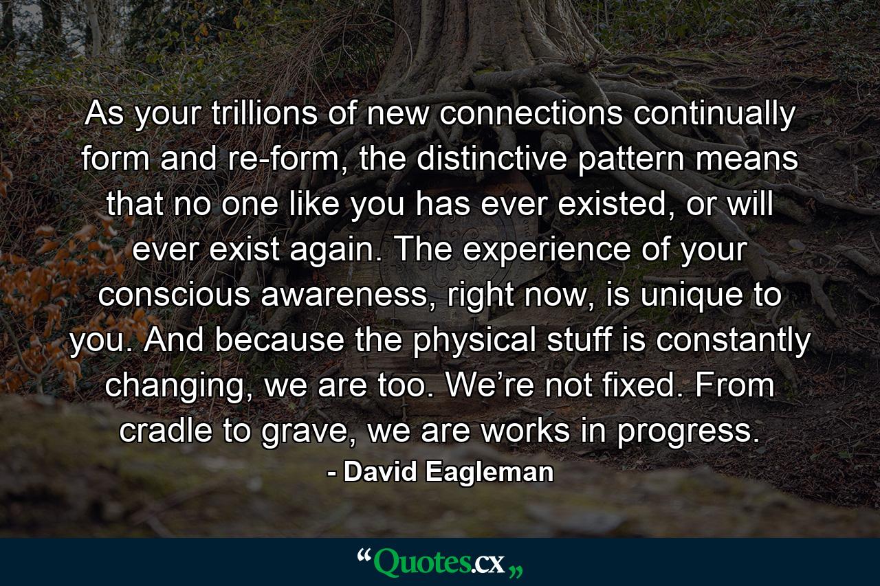 As your trillions of new connections continually form and re-form, the distinctive pattern means that no one like you has ever existed, or will ever exist again. The experience of your conscious awareness, right now, is unique to you. And because the physical stuff is constantly changing, we are too. We’re not fixed. From cradle to grave, we are works in progress. - Quote by David Eagleman