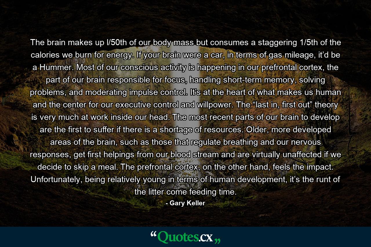 The brain makes up l/50th of our body mass but consumes a staggering 1/5th of the calories we burn for energy. If your brain were a car, in terms of gas mileage, it’d be a Hummer. Most of our conscious activity is happening in our prefrontal cortex, the part of our brain responsible for focus, handling short-term memory, solving problems, and moderating impulse control. It’s at the heart of what makes us human and the center for our executive control and willpower. The “last in, first out” theory is very much at work inside our head. The most recent parts of our brain to develop are the first to suffer if there is a shortage of resources. Older, more developed areas of the brain, such as those that regulate breathing and our nervous responses, get first helpings from our blood stream and are virtually unaffected if we decide to skip a meal. The prefrontal cortex, on the other hand, feels the impact. Unfortunately, being relatively young in terms of human development, it’s the runt of the litter come feeding time. - Quote by Gary Keller