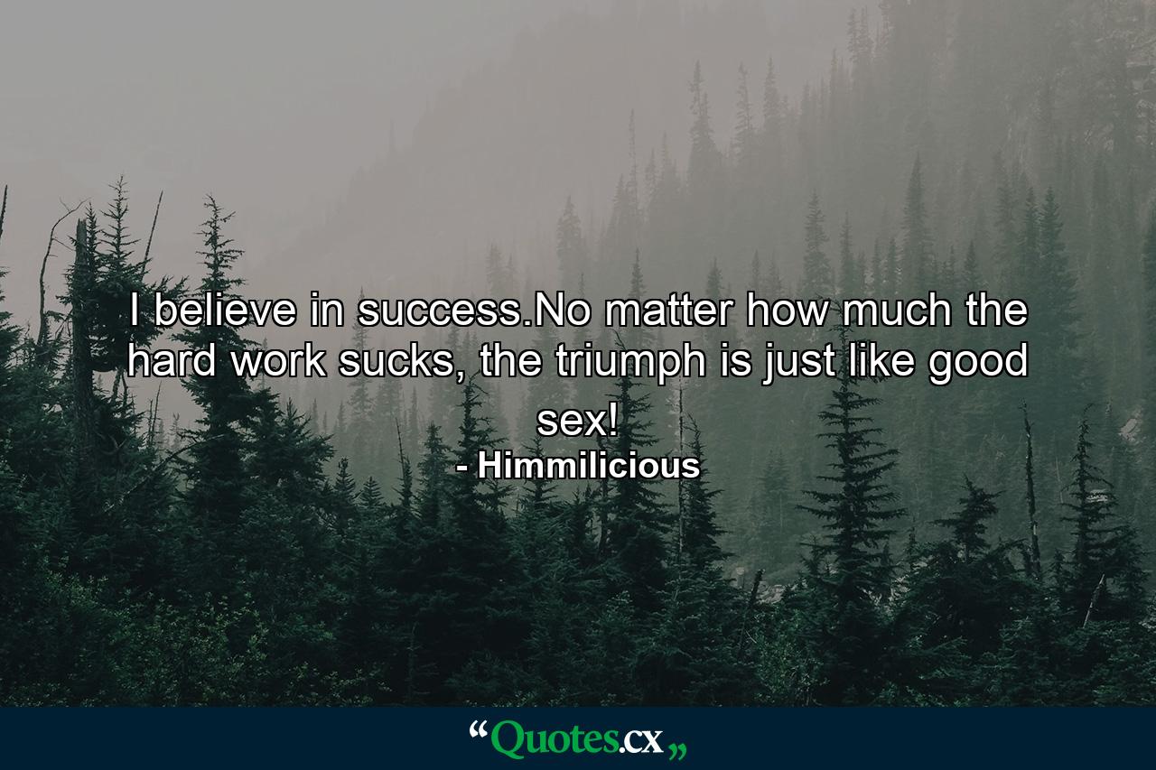 I believe in success.No matter how much the hard work sucks, the triumph is just like good sex! - Quote by Himmilicious