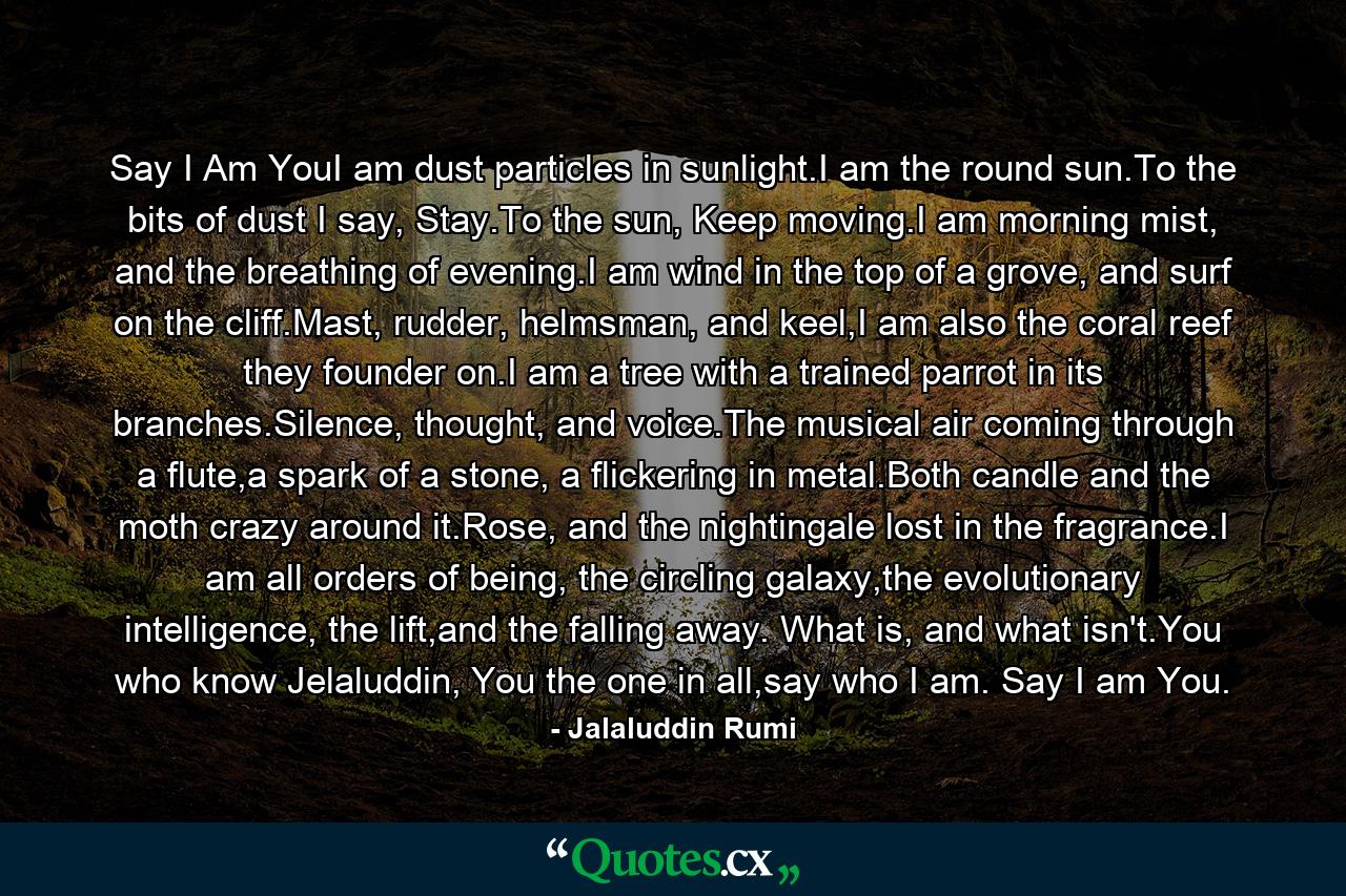 Say I Am YouI am dust particles in sunlight.I am the round sun.To the bits of dust I say, Stay.To the sun, Keep moving.I am morning mist, and the breathing of evening.I am wind in the top of a grove, and surf on the cliff.Mast, rudder, helmsman, and keel,I am also the coral reef they founder on.I am a tree with a trained parrot in its branches.Silence, thought, and voice.The musical air coming through a flute,a spark of a stone, a flickering in metal.Both candle and the moth crazy around it.Rose, and the nightingale lost in the fragrance.I am all orders of being, the circling galaxy,the evolutionary intelligence, the lift,and the falling away. What is, and what isn't.You who know Jelaluddin, You the one in all,say who I am. Say I am You. - Quote by Jalaluddin Rumi