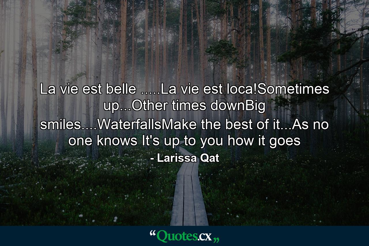 La vie est belle .....La vie est loca!Sometimes up...Other times downBig smiles....WaterfallsMake the best of it...As no one knows It's up to you how it goes - Quote by Larissa Qat