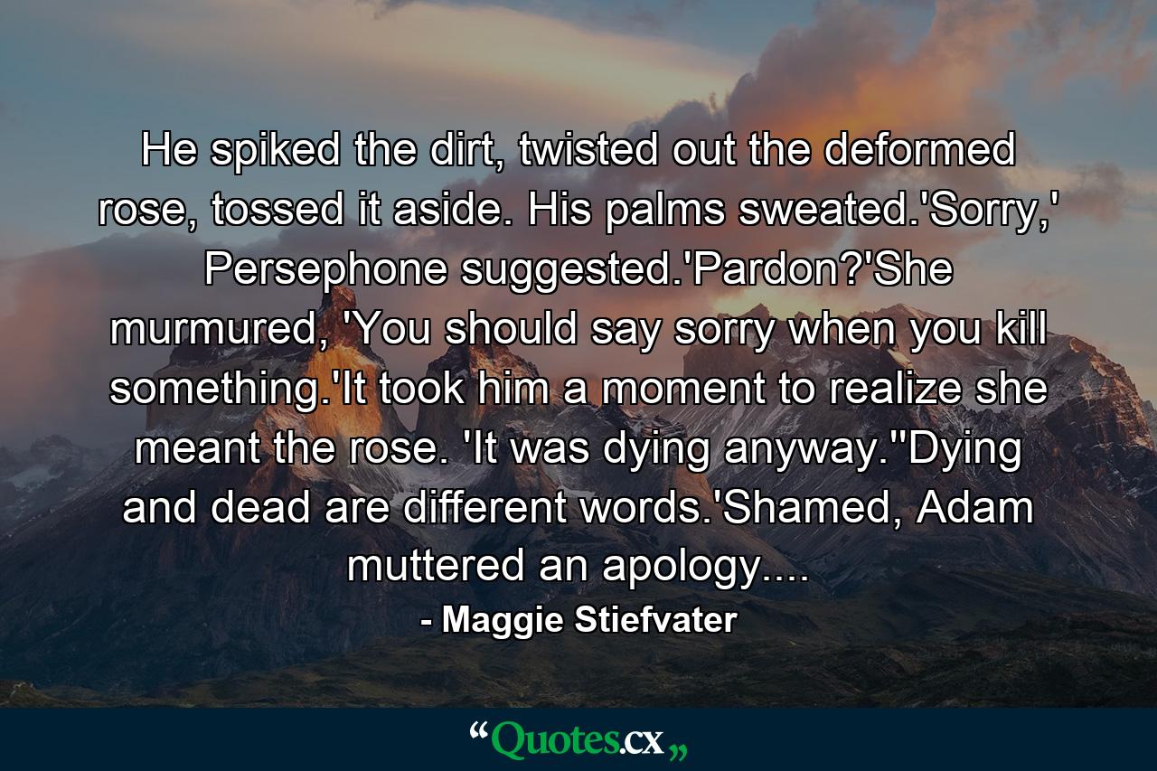 He spiked the dirt, twisted out the deformed rose, tossed it aside. His palms sweated.'Sorry,' Persephone suggested.'Pardon?'She murmured, 'You should say sorry when you kill something.'It took him a moment to realize she meant the rose. 'It was dying anyway.''Dying and dead are different words.'Shamed, Adam muttered an apology.... - Quote by Maggie Stiefvater