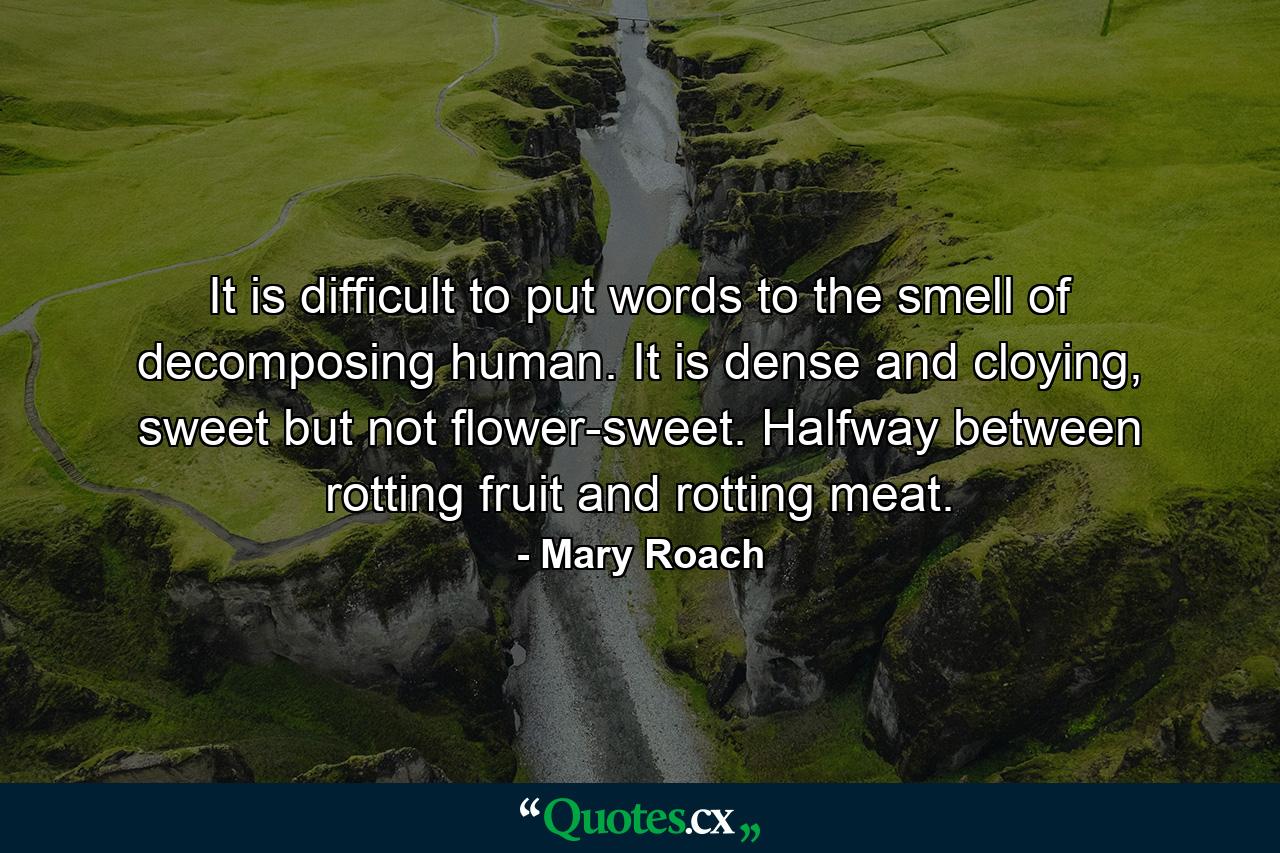 It is difficult to put words to the smell of decomposing human. It is dense and cloying, sweet but not flower-sweet. Halfway between rotting fruit and rotting meat. - Quote by Mary Roach