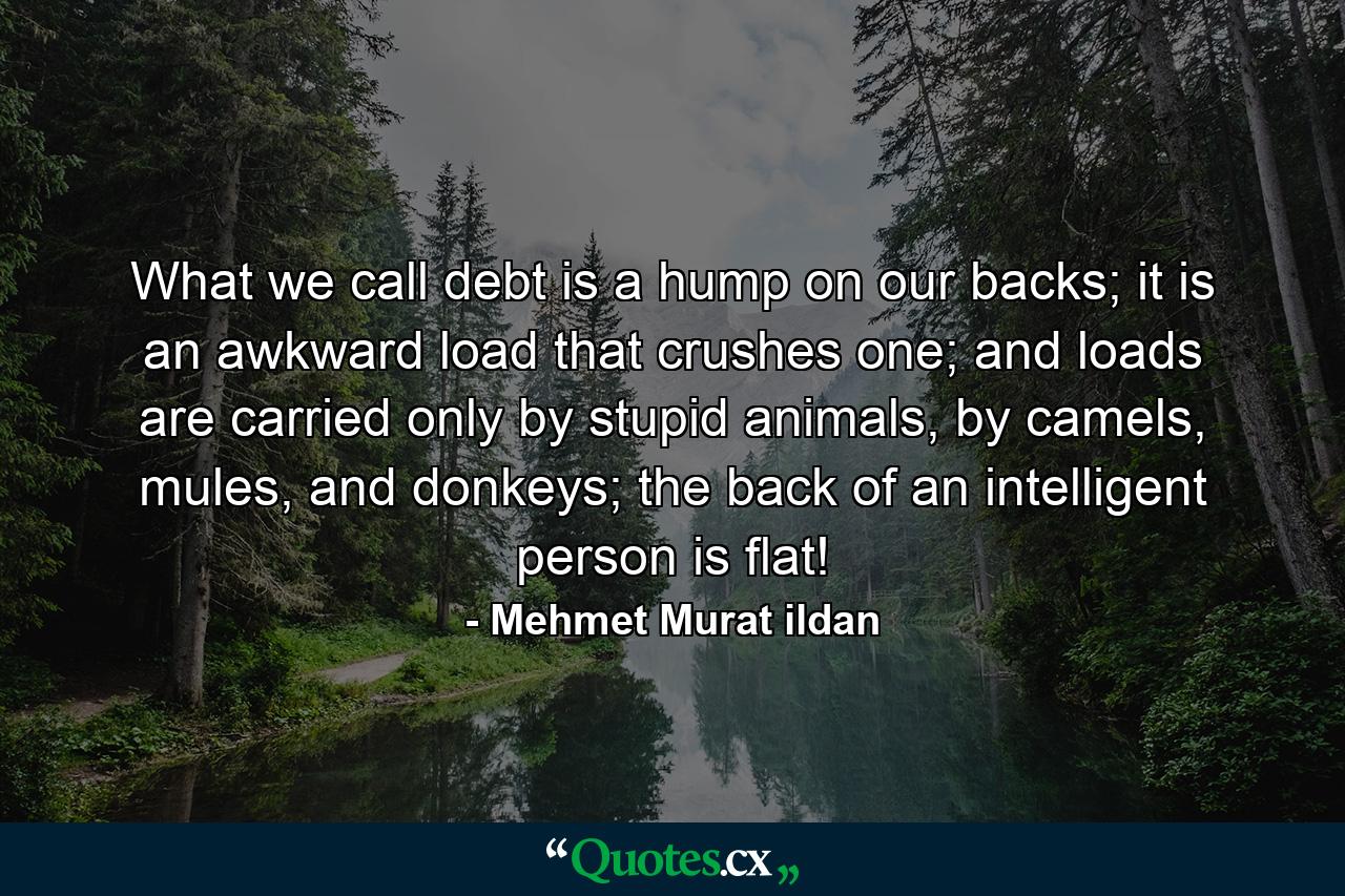 What we call debt is a hump on our backs; it is an awkward load that crushes one; and loads are carried only by stupid animals, by camels, mules, and donkeys; the back of an intelligent person is flat! - Quote by Mehmet Murat ildan