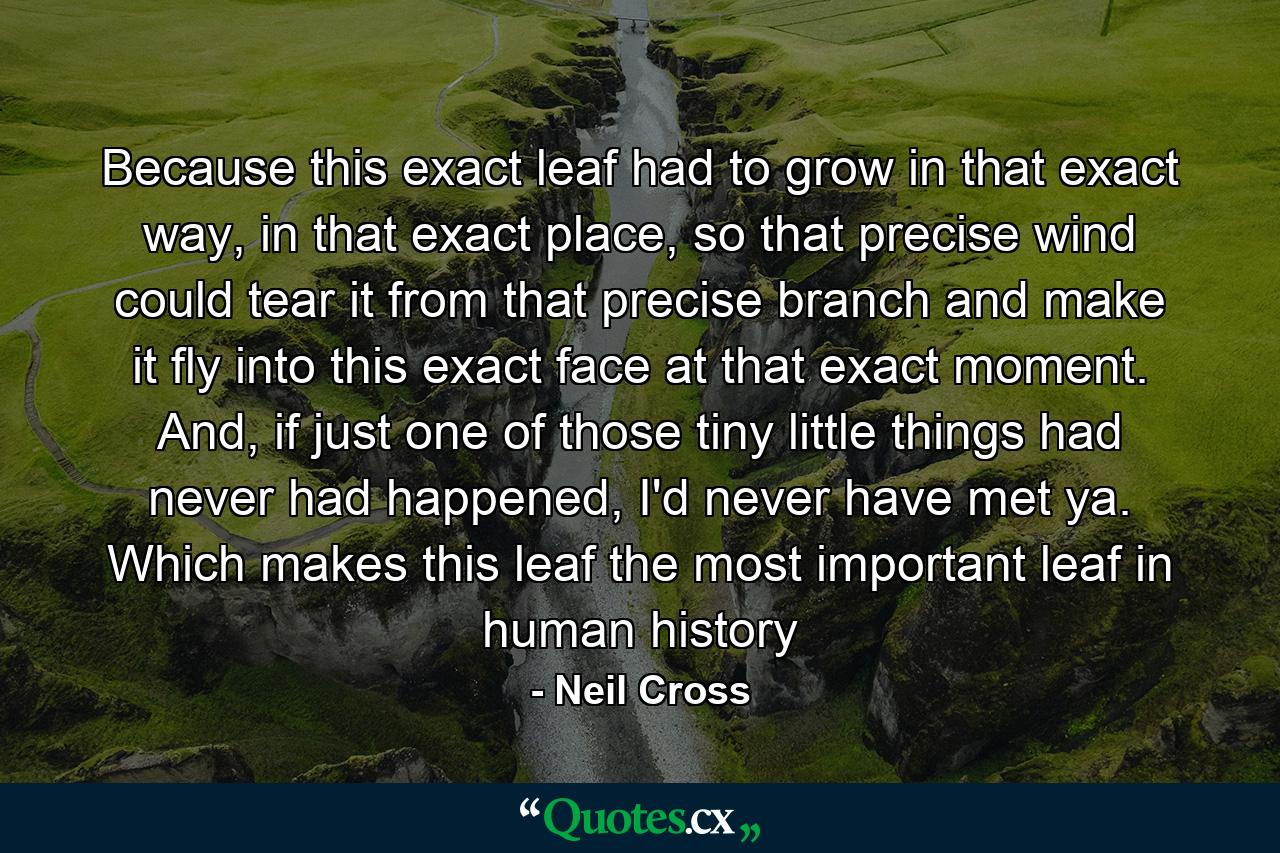 Because this exact leaf had to grow in that exact way, in that exact place, so that precise wind could tear it from that precise branch and make it fly into this exact face at that exact moment. And, if just one of those tiny little things had never had happened, I'd never have met ya. Which makes this leaf the most important leaf in human history - Quote by Neil Cross