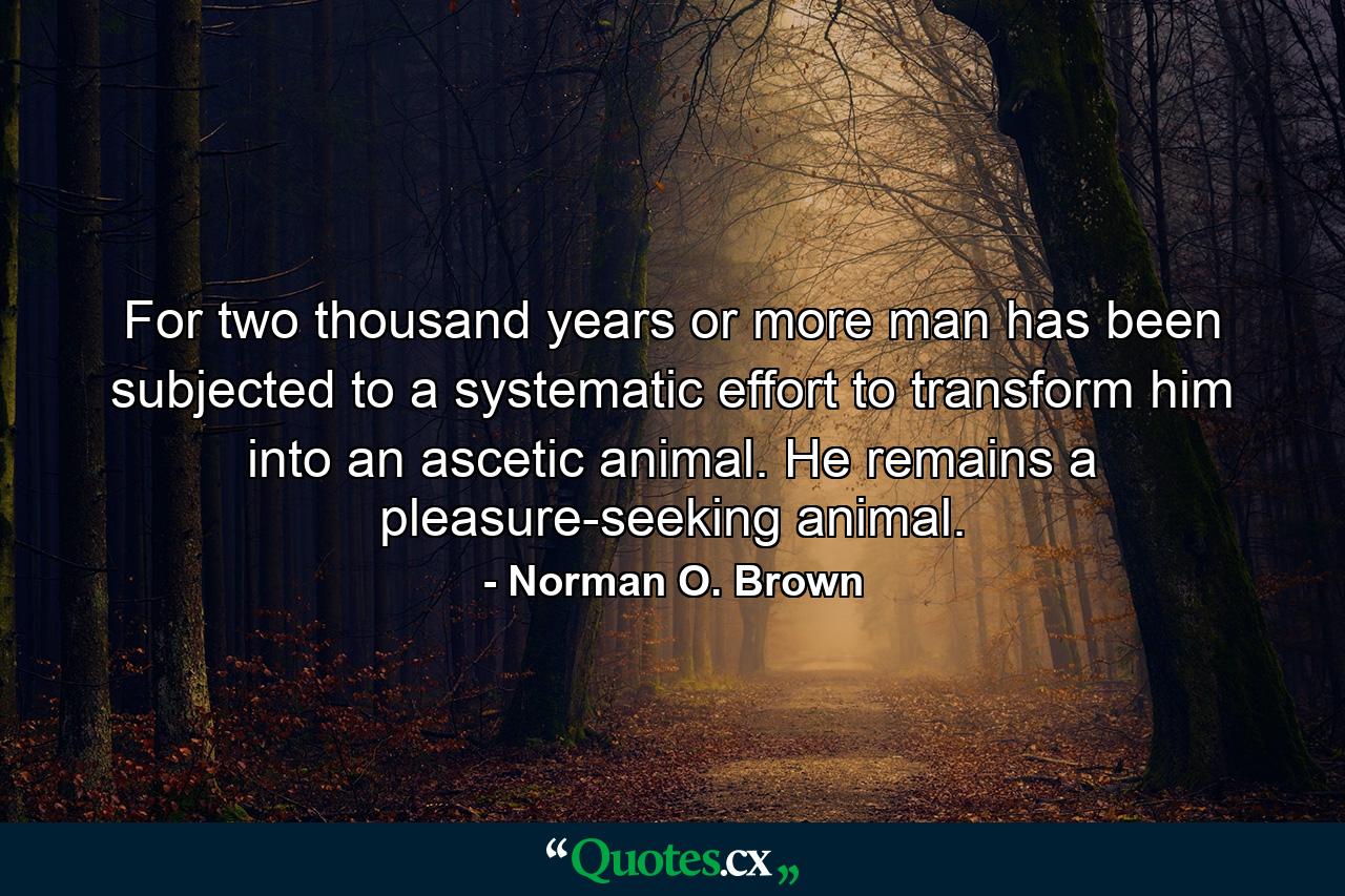 For two thousand years or more man has been subjected to a systematic effort to transform him into an ascetic animal. He remains a pleasure-seeking animal. - Quote by Norman O. Brown