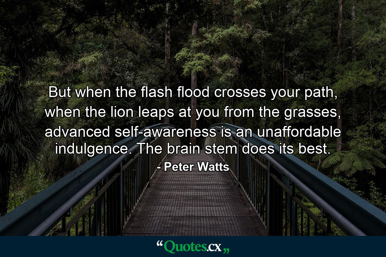 But when the flash flood crosses your path, when the lion leaps at you from the grasses, advanced self-awareness is an unaffordable indulgence. The brain stem does its best. - Quote by Peter Watts