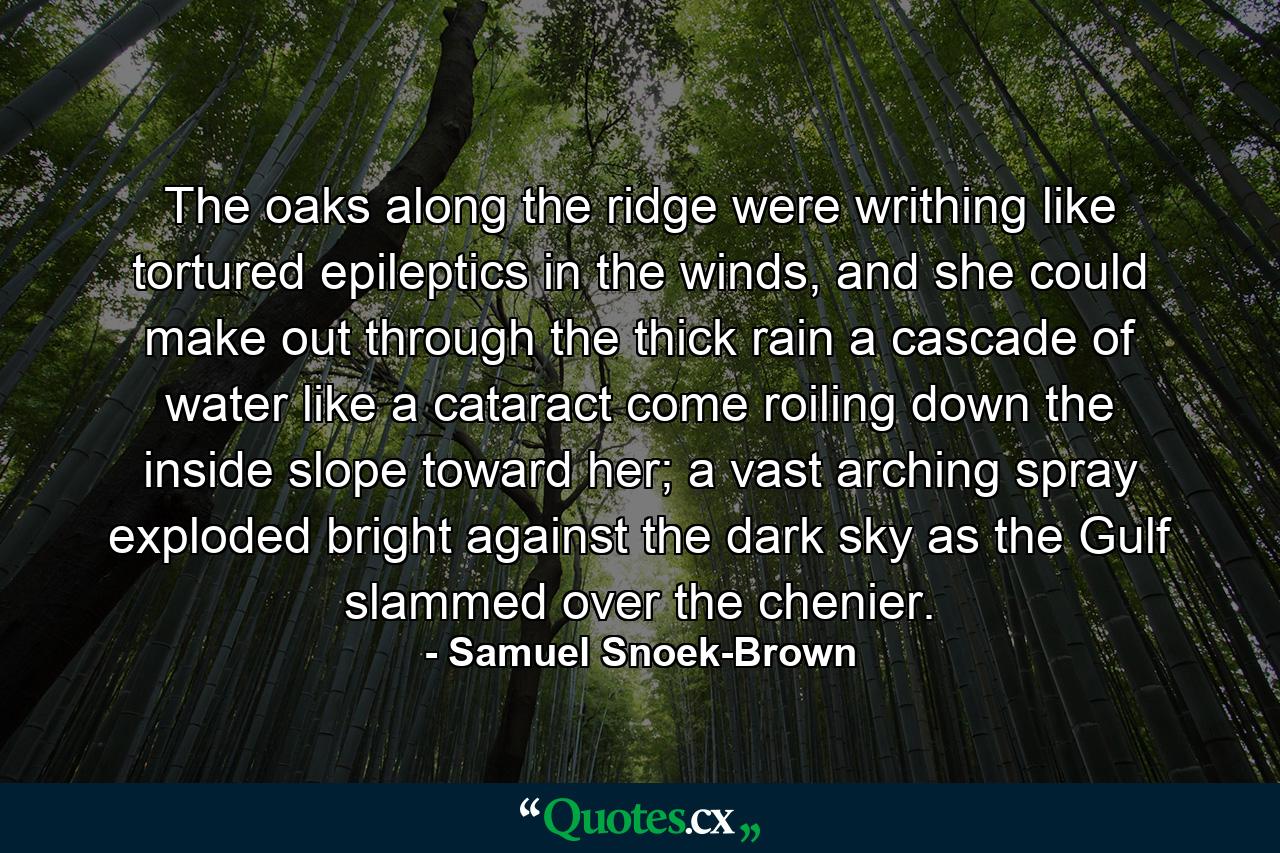 The oaks along the ridge were writhing like tortured epileptics in the winds, and she could make out through the thick rain a cascade of water like a cataract come roiling down the inside slope toward her; a vast arching spray exploded bright against the dark sky as the Gulf slammed over the chenier. - Quote by Samuel Snoek-Brown