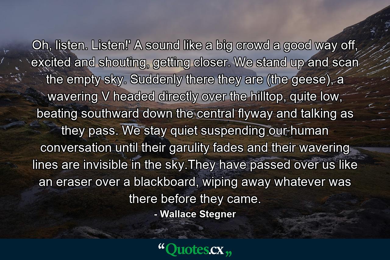 Oh, listen. Listen!' A sound like a big crowd a good way off, excited and shouting, getting closer. We stand up and scan the empty sky. Suddenly there they are (the geese), a wavering V headed directly over the hilltop, quite low, beating southward down the central flyway and talking as they pass. We stay quiet suspending our human conversation until their garulity fades and their wavering lines are invisible in the sky.They have passed over us like an eraser over a blackboard, wiping away whatever was there before they came. - Quote by Wallace Stegner