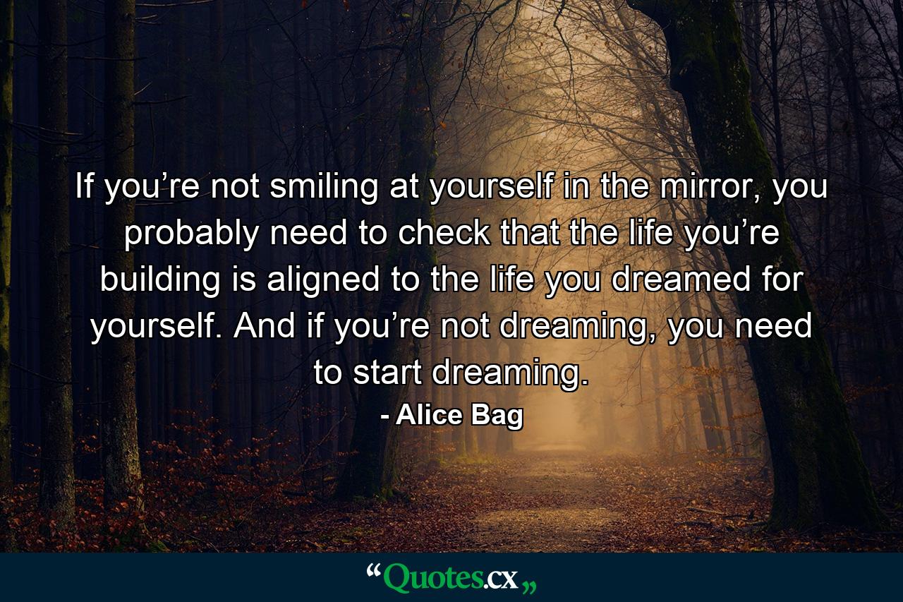 If you’re not smiling at yourself in the mirror, you probably need to check that the life you’re building is aligned to the life you dreamed for yourself. And if you’re not dreaming, you need to start dreaming. - Quote by Alice Bag