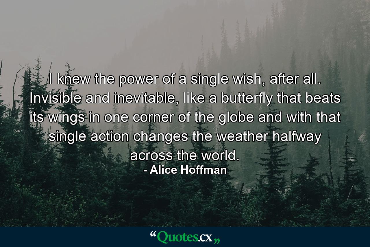 I knew the power of a single wish, after all. Invisible and inevitable, like a butterfly that beats its wings in one corner of the globe and with that single action changes the weather halfway across the world. - Quote by Alice Hoffman