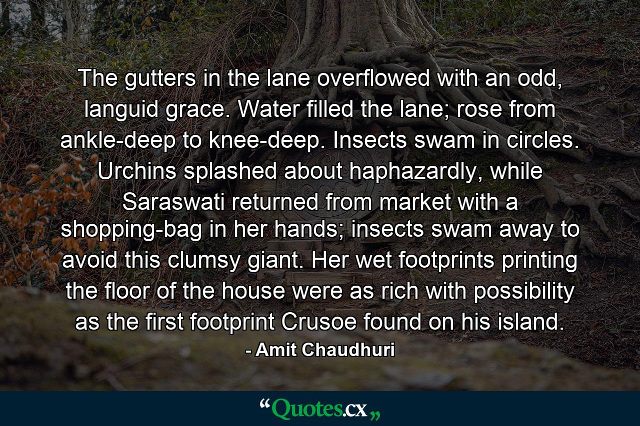 The gutters in the lane overflowed with an odd, languid grace. Water filled the lane; rose from ankle-deep to knee-deep. Insects swam in circles. Urchins splashed about haphazardly, while Saraswati returned from market with a shopping-bag in her hands; insects swam away to avoid this clumsy giant. Her wet footprints printing the floor of the house were as rich with possibility as the first footprint Crusoe found on his island. - Quote by Amit Chaudhuri