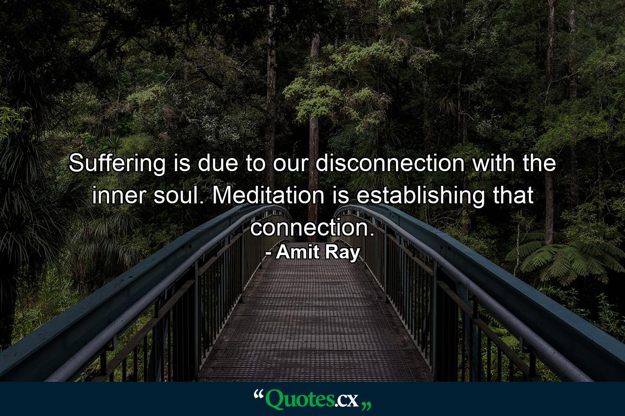 Suffering is due to our disconnection with the inner soul. Meditation is establishing that connection. - Quote by Amit Ray