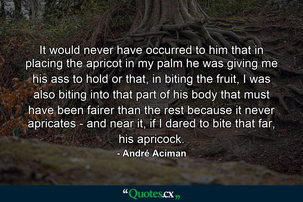 It would never have occurred to him that in placing the apricot in my palm he was giving me his ass to hold or that, in biting the fruit, I was also biting into that part of his body that must have been fairer than the rest because it never apricates - and near it, if I dared to bite that far, his apricock. - Quote by André Aciman