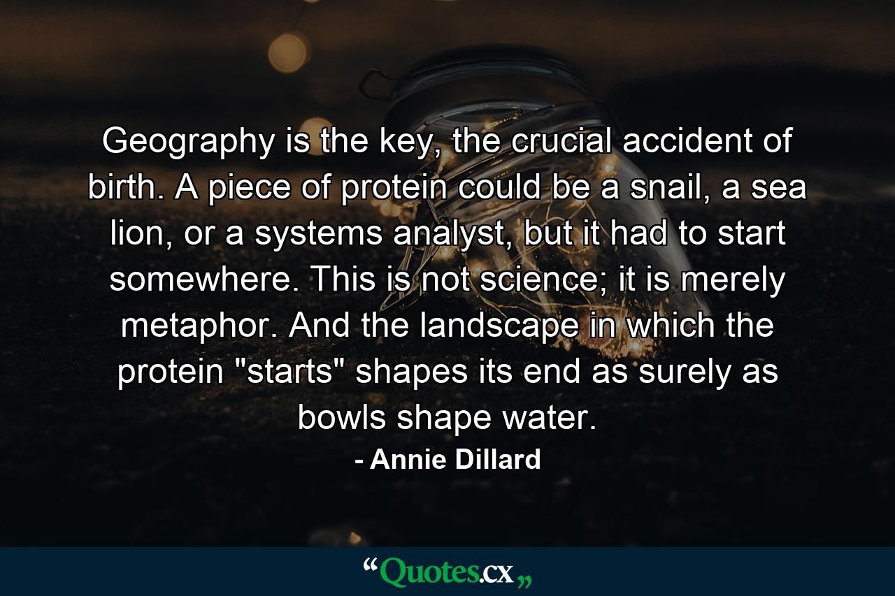 Geography is the key, the crucial accident of birth. A piece of protein could be a snail, a sea lion, or a systems analyst, but it had to start somewhere. This is not science; it is merely metaphor. And the landscape in which the protein 