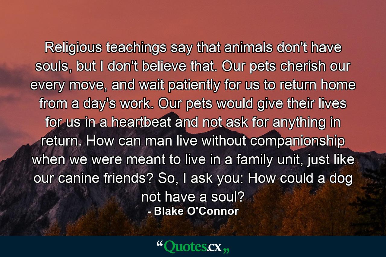 Religious teachings say that animals don't have souls, but I don't believe that. Our pets cherish our every move, and wait patiently for us to return home from a day's work. Our pets would give their lives for us in a heartbeat and not ask for anything in return. How can man live without companionship when we were meant to live in a family unit, just like our canine friends? So, I ask you: How could a dog not have a soul? - Quote by Blake O'Connor