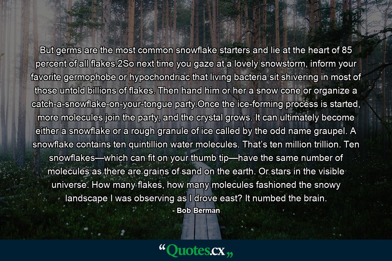 But germs are the most common snowflake starters and lie at the heart of 85 percent of all flakes.2So next time you gaze at a lovely snowstorm, inform your favorite germophobe or hypochondriac that living bacteria sit shivering in most of those untold billions of flakes. Then hand him or her a snow cone or organize a catch-a-snowflake-on-your-tongue party.Once the ice-forming process is started, more molecules join the party, and the crystal grows. It can ultimately become either a snowflake or a rough granule of ice called by the odd name graupel. A snowflake contains ten quintillion water molecules. That’s ten million trillion. Ten snowflakes—which can fit on your thumb tip—have the same number of molecules as there are grains of sand on the earth. Or stars in the visible universe. How many flakes, how many molecules fashioned the snowy landscape I was observing as I drove east? It numbed the brain. - Quote by Bob Berman