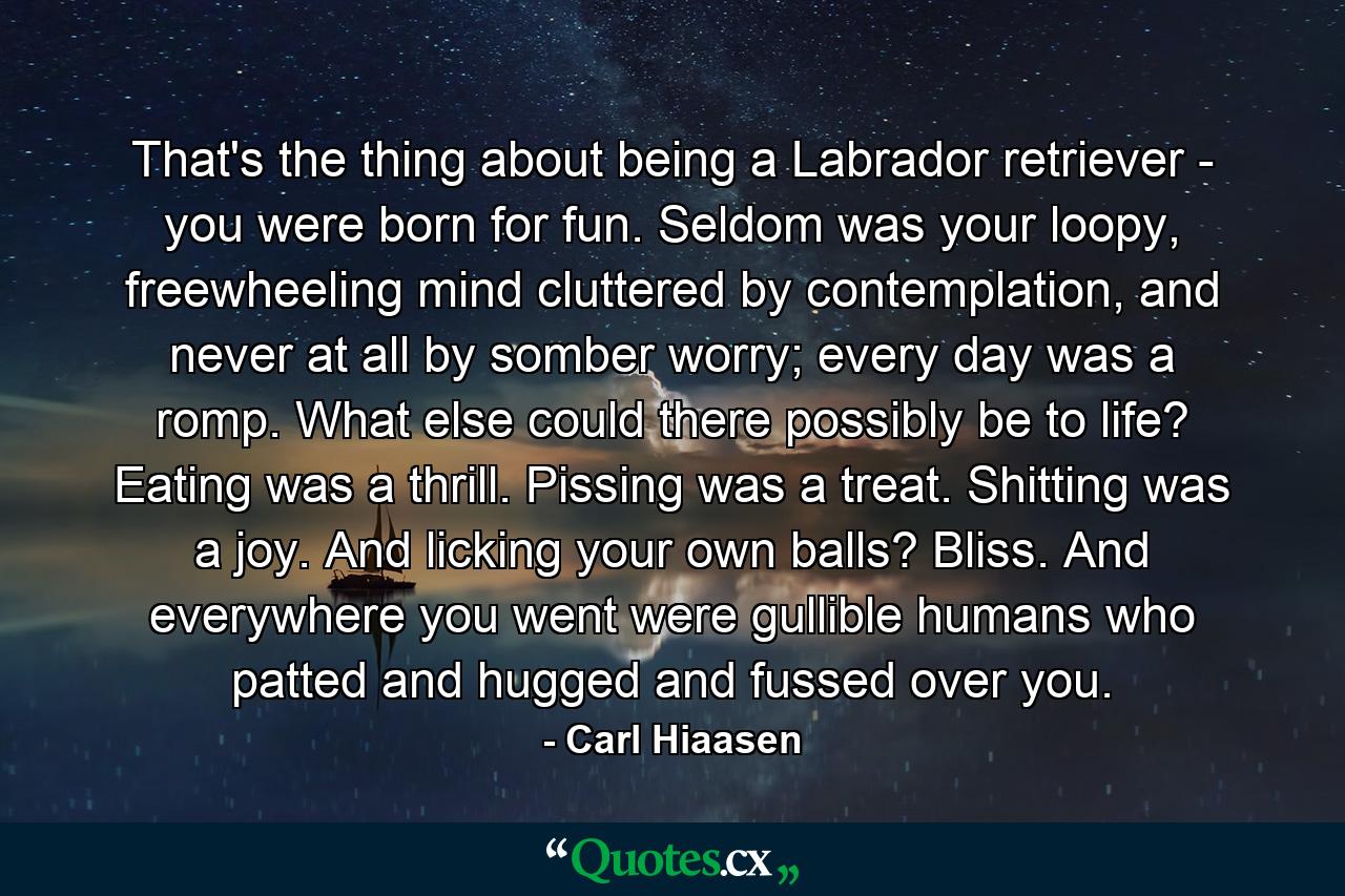 That's the thing about being a Labrador retriever - you were born for fun. Seldom was your loopy, freewheeling mind cluttered by contemplation, and never at all by somber worry; every day was a romp. What else could there possibly be to life? Eating was a thrill. Pissing was a treat. Shitting was a joy. And licking your own balls? Bliss. And everywhere you went were gullible humans who patted and hugged and fussed over you. - Quote by Carl Hiaasen