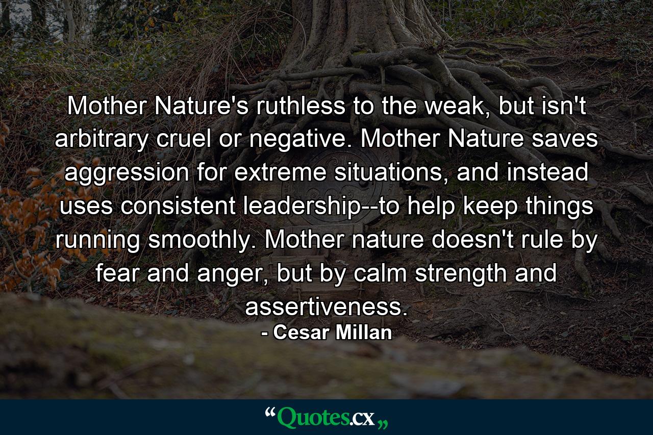 Mother Nature's ruthless to the weak, but isn't arbitrary cruel or negative. Mother Nature saves aggression for extreme situations, and instead uses consistent leadership--to help keep things running smoothly. Mother nature doesn't rule by fear and anger, but by calm strength and assertiveness. - Quote by Cesar Millan