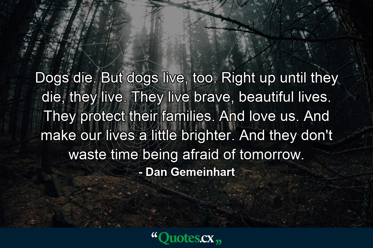 Dogs die. But dogs live, too. Right up until they die, they live. They live brave, beautiful lives. They protect their families. And love us. And make our lives a little brighter. And they don't waste time being afraid of tomorrow. - Quote by Dan Gemeinhart