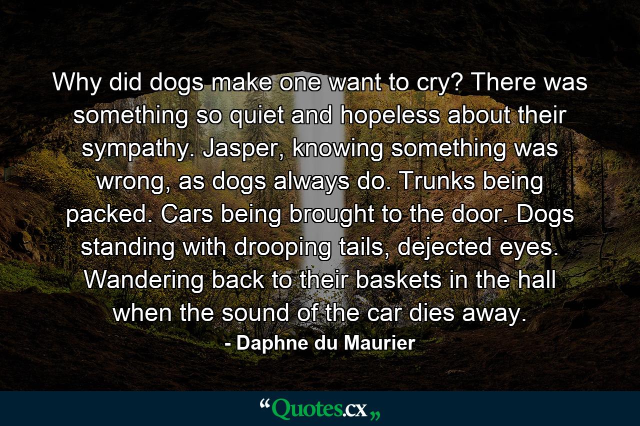 Why did dogs make one want to cry? There was something so quiet and hopeless about their sympathy. Jasper, knowing something was wrong, as dogs always do. Trunks being packed. Cars being brought to the door. Dogs standing with drooping tails, dejected eyes. Wandering back to their baskets in the hall when the sound of the car dies away. - Quote by Daphne du Maurier