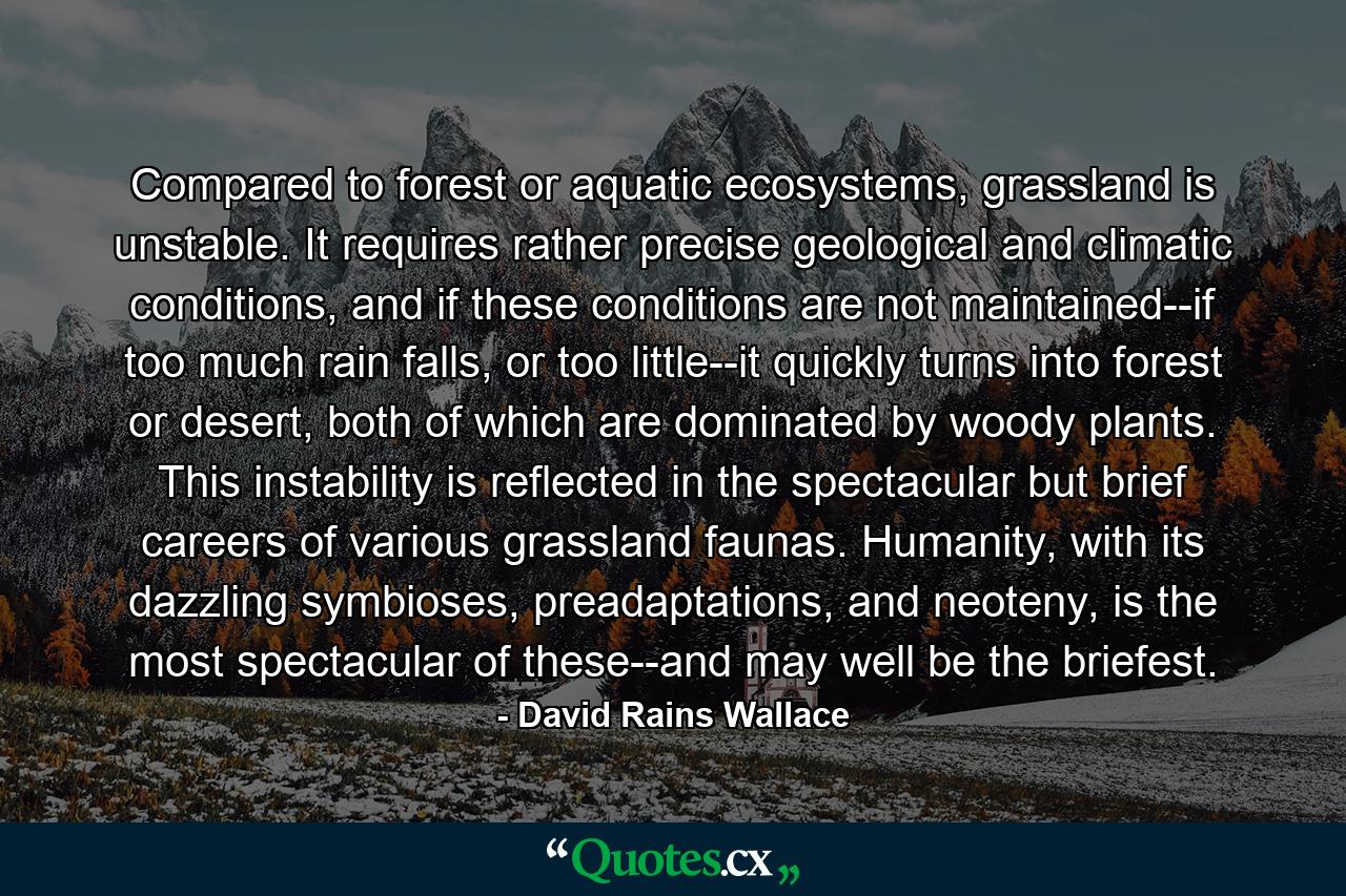 Compared to forest or aquatic ecosystems, grassland is unstable. It requires rather precise geological and climatic conditions, and if these conditions are not maintained--if too much rain falls, or too little--it quickly turns into forest or desert, both of which are dominated by woody plants. This instability is reflected in the spectacular but brief careers of various grassland faunas. Humanity, with its dazzling symbioses, preadaptations, and neoteny, is the most spectacular of these--and may well be the briefest. - Quote by David Rains Wallace